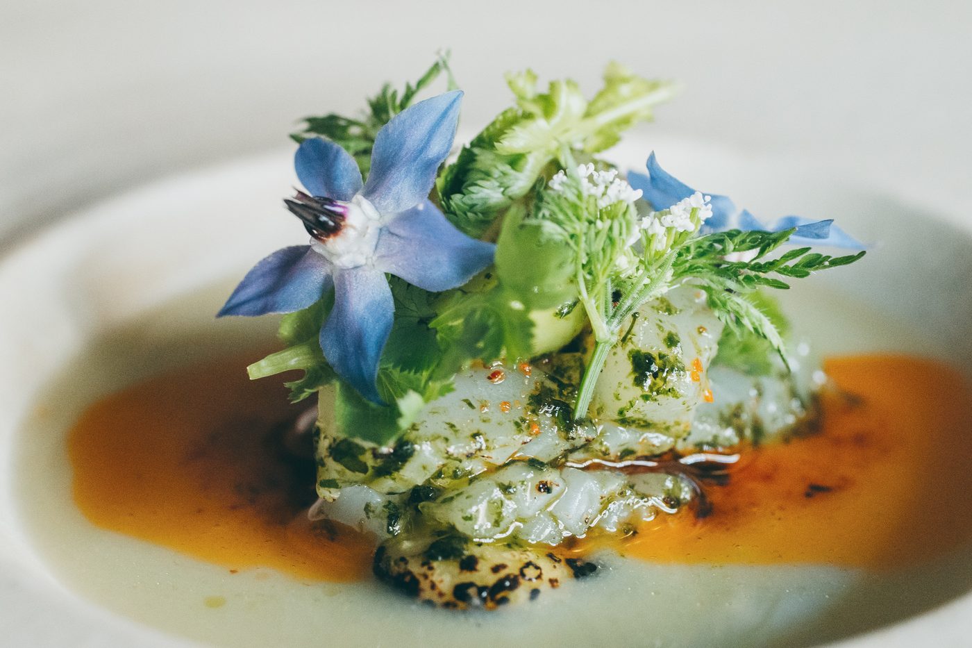 VILLA COMMUNICO のお料理（季節の一皿）